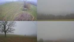 Sdružený snímek Bludný