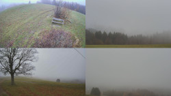 Sdružený snímek Bludný