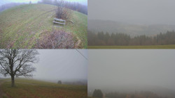 Sdružený snímek Bludný