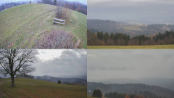 Sdružený snímek Bludný