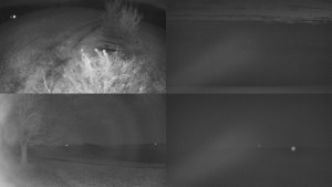 Bludný - Rajnochovice Troják - Sdružený snímek Bludný - 12.11.2025 v 05:31 Bludný - Rajnochovice Troják - Sdružený snímek Bludný - 12.11.2025 v 05:31