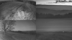 Sdružený snímek Bludný