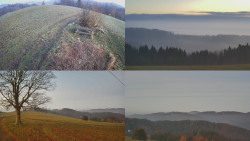 Sdružený snímek Bludný