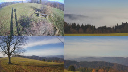 Sdružený snímek Bludný