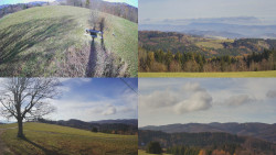 Sdružený snímek Bludný