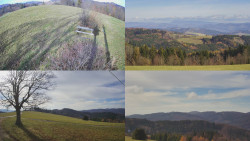 Sdružený snímek Bludný