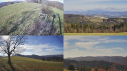 Sdružený snímek Bludný