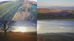 Sdružený snímek Bludný