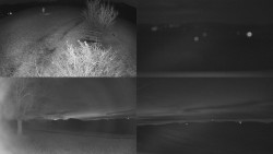 Sdružený snímek Bludný