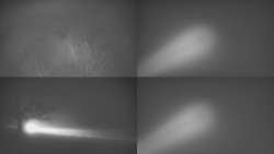 Sdružený snímek Bludný