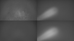 Sdružený snímek Bludný