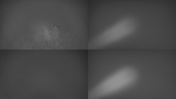 Sdružený snímek Bludný