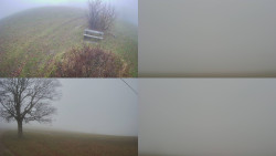 Sdružený snímek Bludný