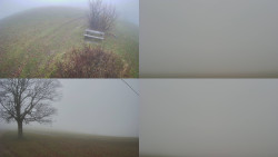 Sdružený snímek Bludný