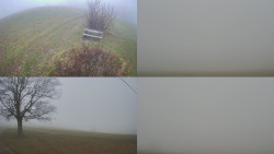 Sdružený snímek Bludný