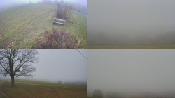 Sdružený snímek Bludný