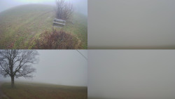 Sdružený snímek Bludný