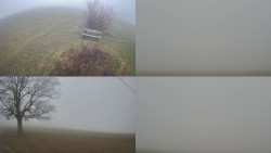 Sdružený snímek Bludný