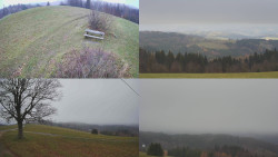 Sdružený snímek Bludný