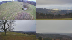 Sdružený snímek Bludný