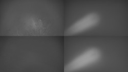 Sdružený snímek Bludný