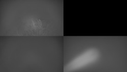 Sdružený snímek Bludný