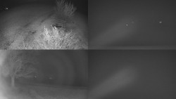 Sdružený snímek Bludný