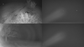 Snímek    15.11.2025 v 00:31