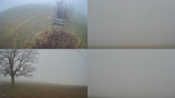 Sdružený snímek Bludný