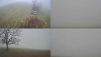 Snímek 15.11.2025 v 11:31