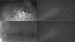 Sdružený snímek Bludný