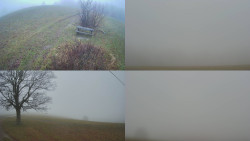 Sdružený snímek Bludný