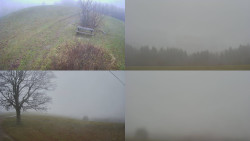 Sdružený snímek Bludný