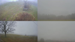 Sdružený snímek Bludný