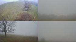 Sdružený snímek Bludný