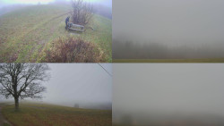 Sdružený snímek Bludný