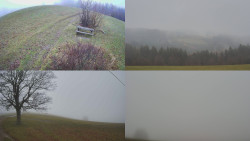 Sdružený snímek Bludný