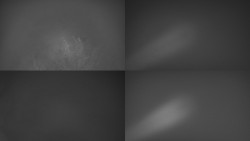 Sdružený snímek Bludný