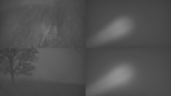 Sdružený snímek Bludný