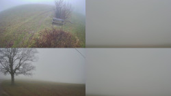 Sdružený snímek Bludný