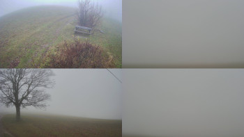 Snímek 17.11.2025 v 08:31