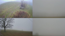 Sdružený snímek Bludný