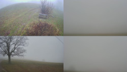 Sdružený snímek Bludný