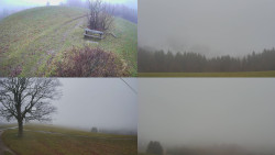 Sdružený snímek Bludný