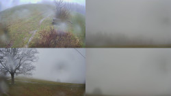 Sdružený snímek Bludný