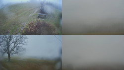 Sdružený snímek Bludný