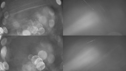 Sdružený snímek Bludný