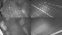 Sdružený snímek Bludný