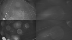 Sdružený snímek Bludný