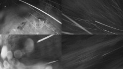 Sdružený snímek Bludný